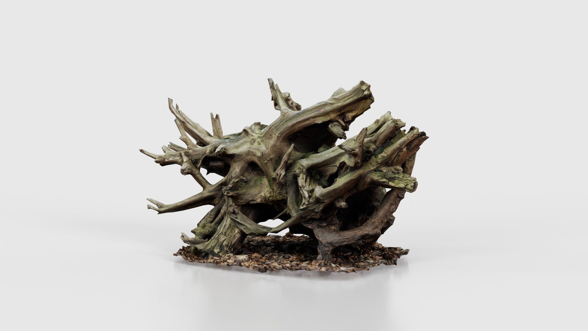 Intricate Tree Root Stump Low-poly 3D model_26