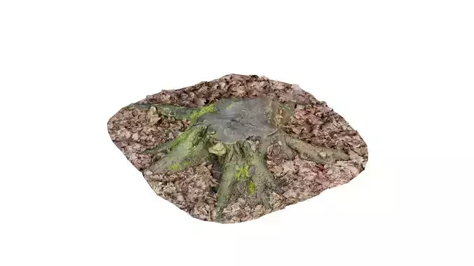 Mini Moss Stump in Leaves