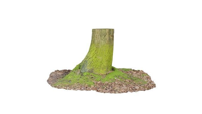 Moss Bark Tree Stump Low-poly 3D model