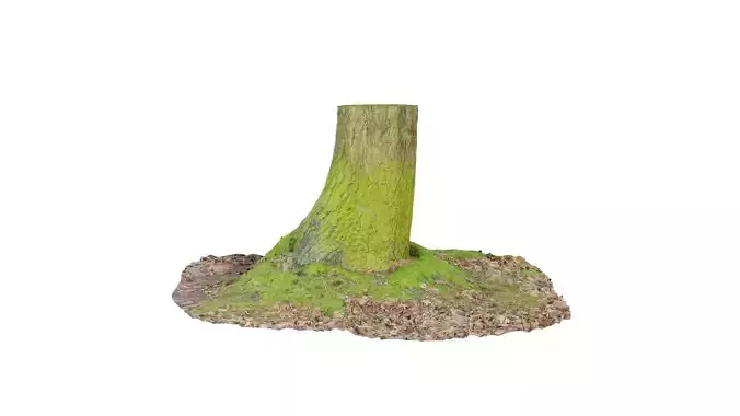 Moss Bark Tree Stump