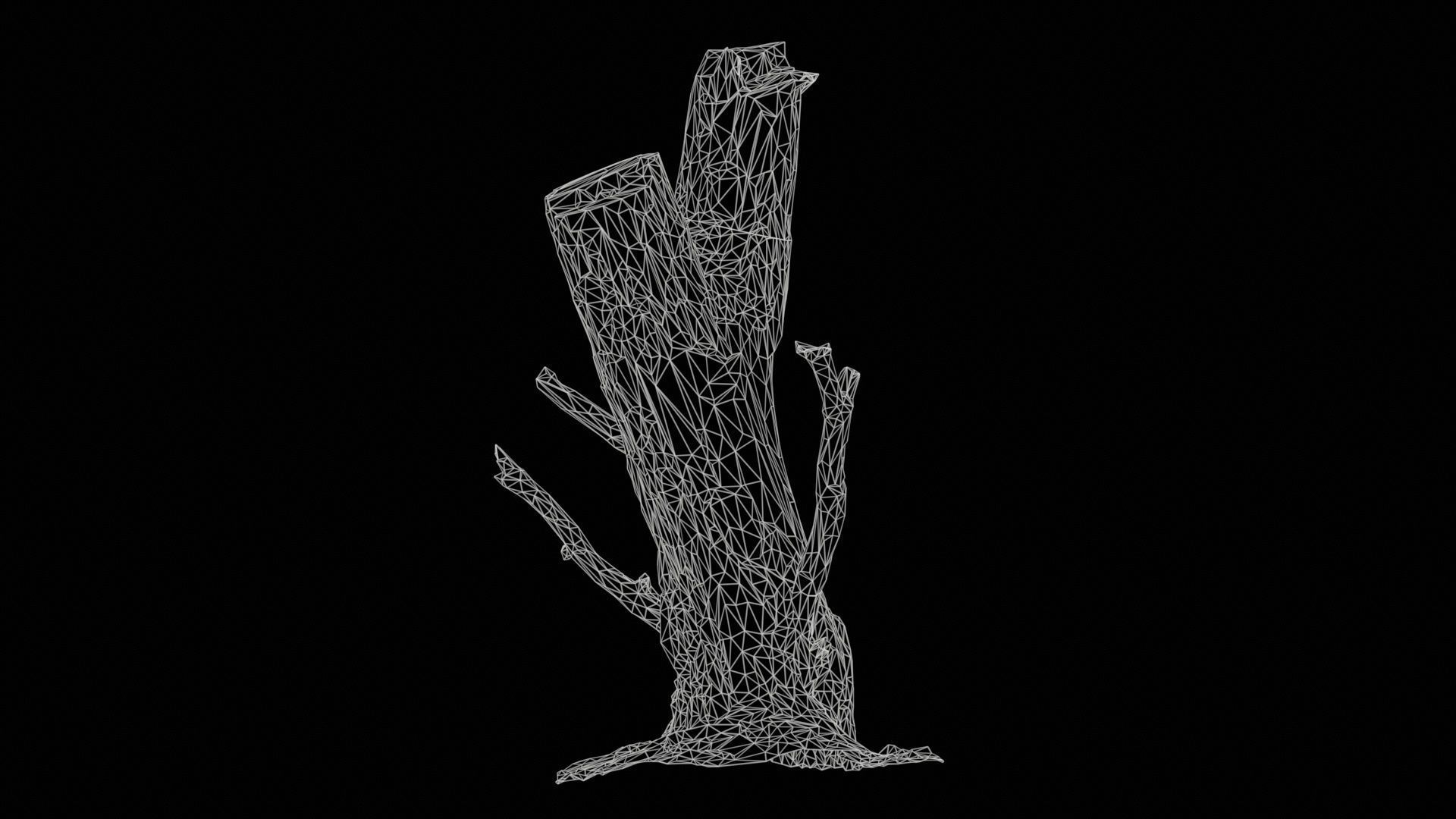 Tree Stump with Small Off Shoots Low-poly 3D model_11