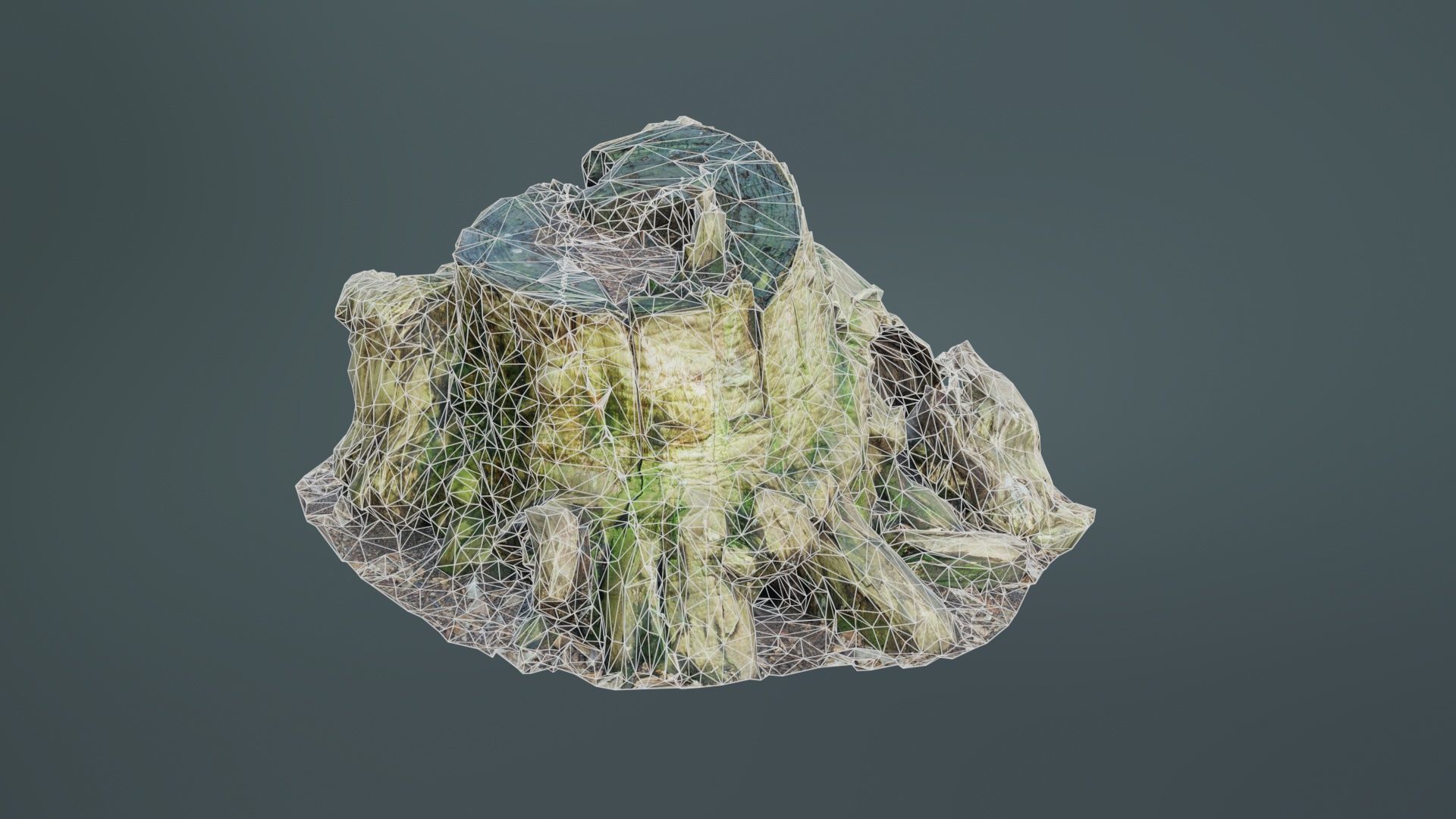 Wide Tree Root Stump Low-poly 3D model_10