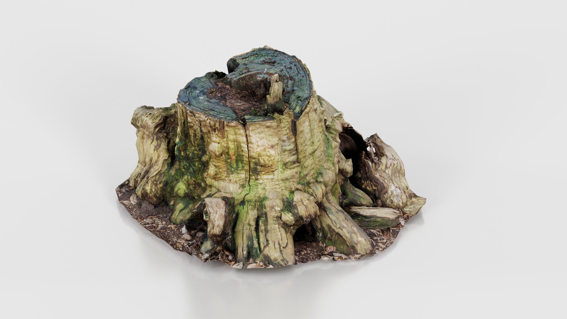 Wide Tree Root Stump Low-poly 3D model_21