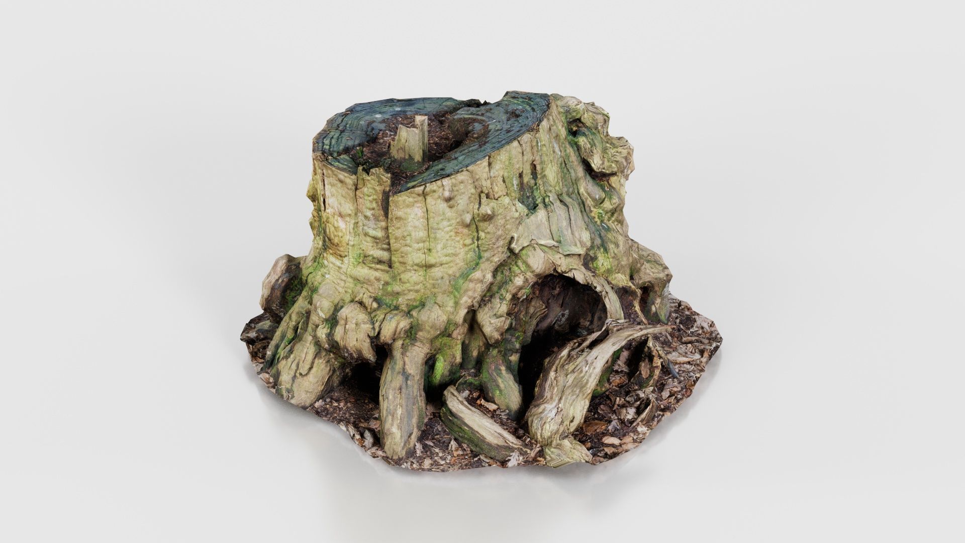 Wide Tree Root Stump Low-poly 3D model_19