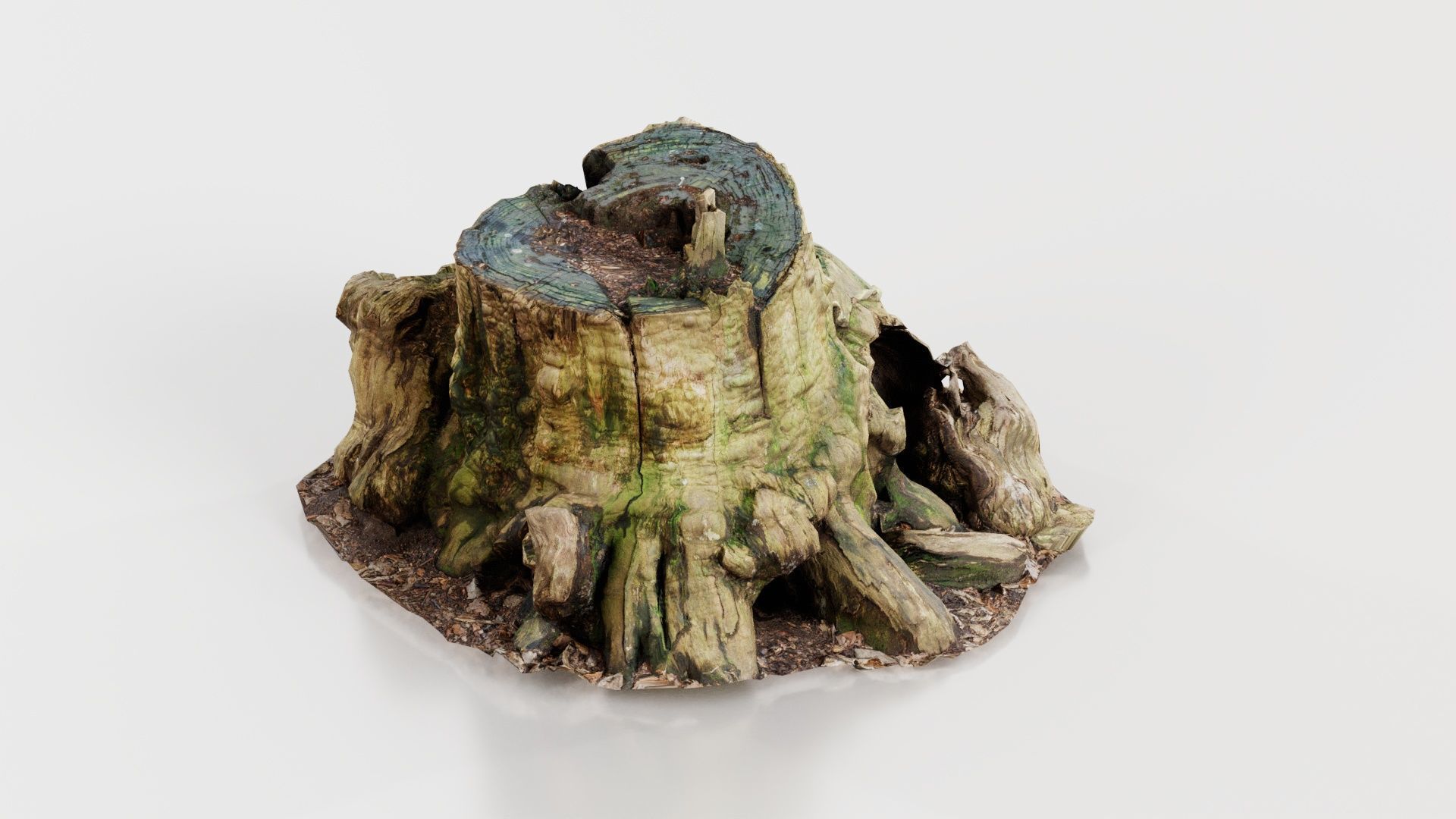 Wide Tree Root Stump Low-poly 3D model_2