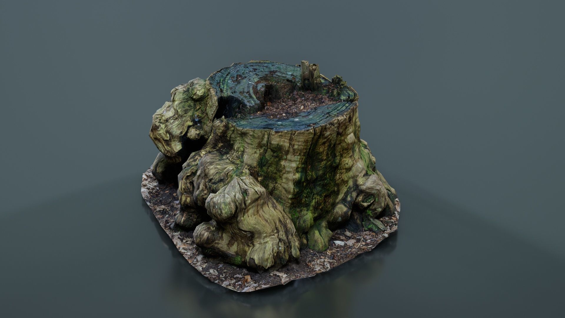 Wide Tree Root Stump Low-poly 3D model_1