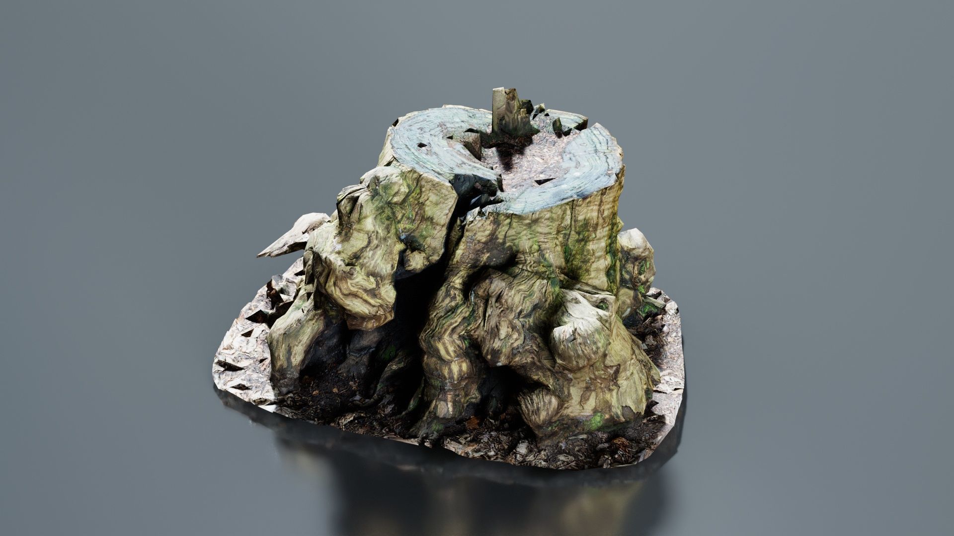 Wide Tree Root Stump Low-poly 3D model_3