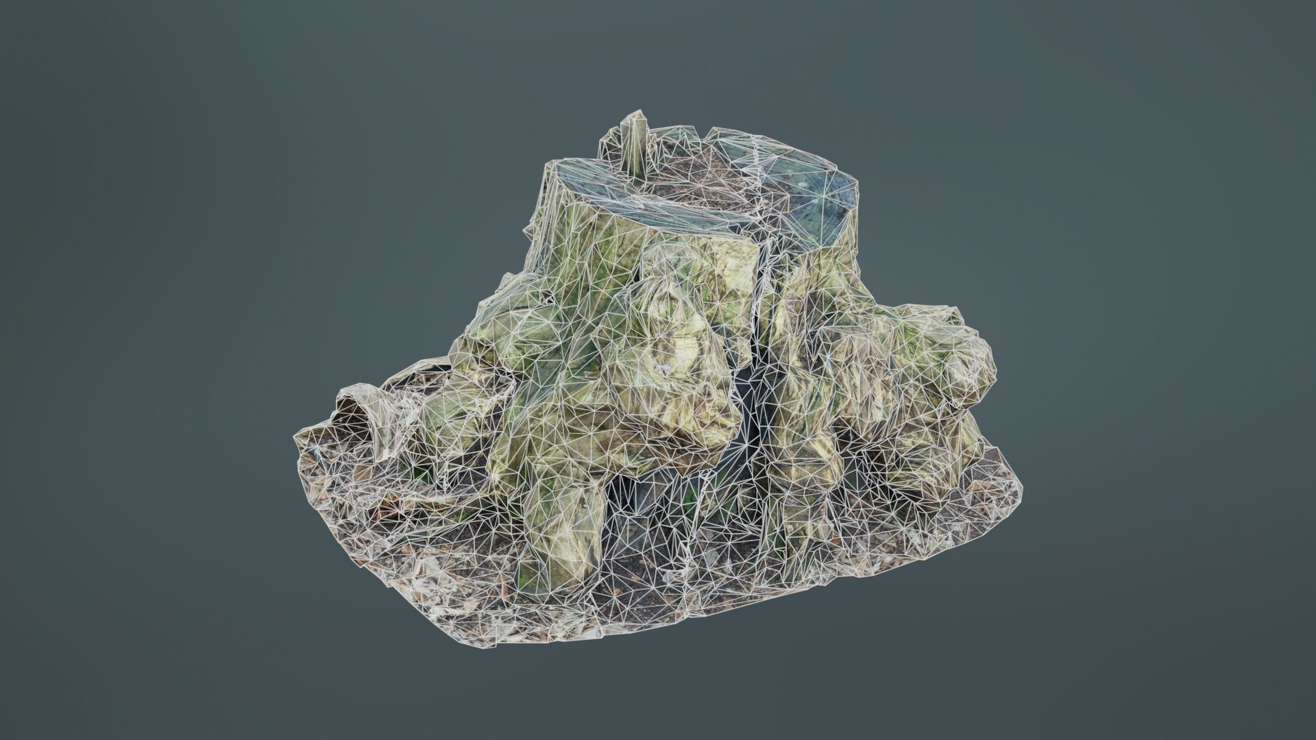 Wide Tree Root Stump Low-poly 3D model_9