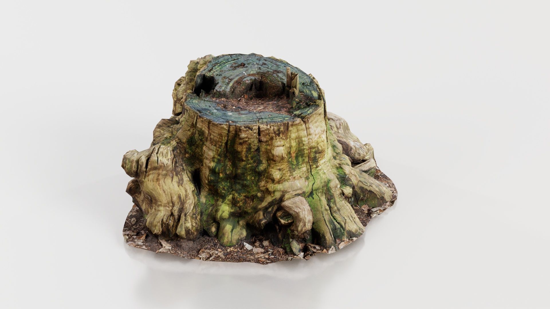 Wide Tree Root Stump Low-poly 3D model_5