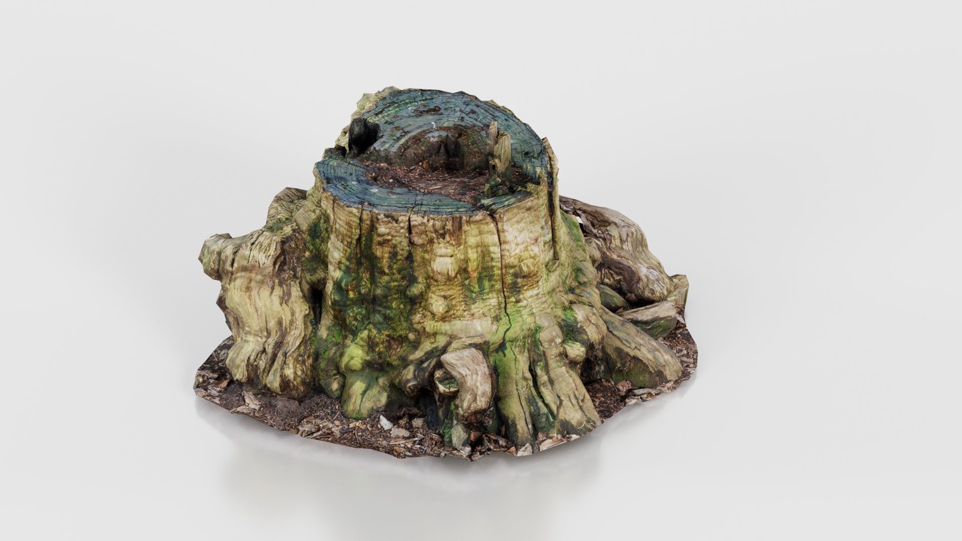 Wide Tree Root Stump Low-poly 3D model_22
