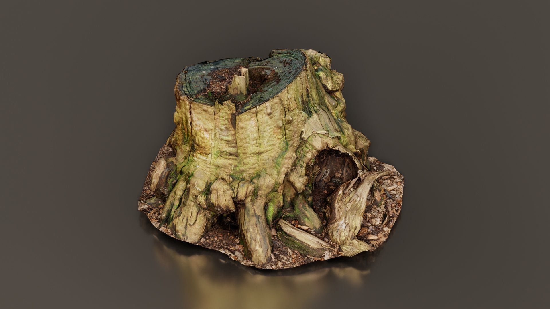 Wide Tree Root Stump Low-poly 3D model_4