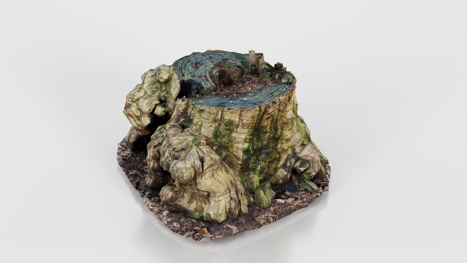 Wide Tree Root Stump Low-poly 3D model_24