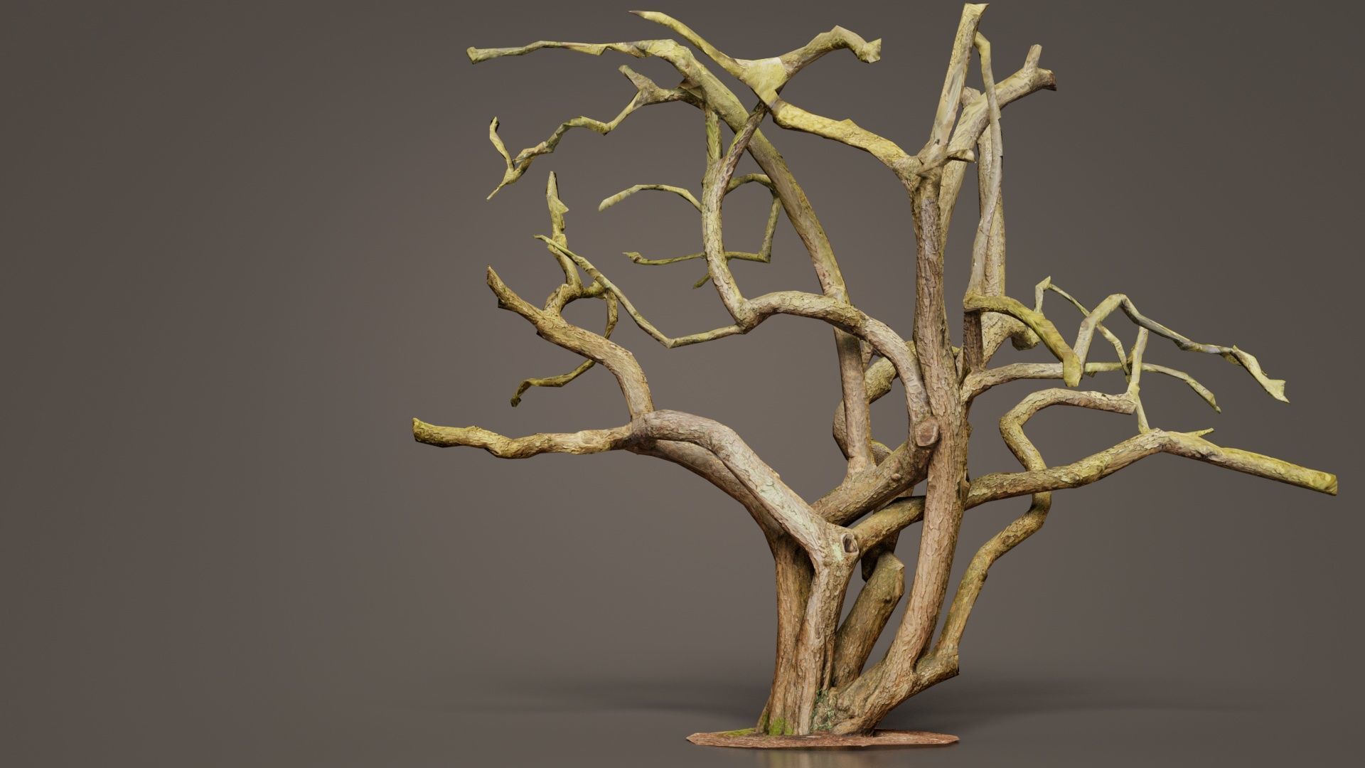 Big Tree Trunk Low-poly 3D model_1