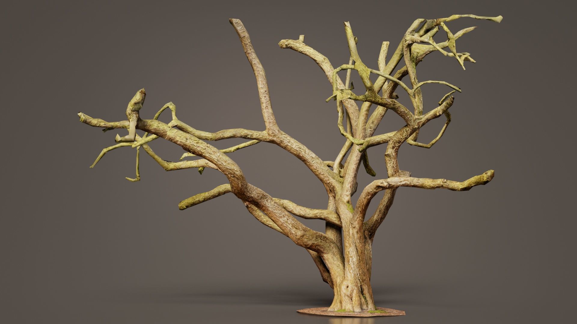 Big Tree Trunk Low-poly 3D model_7