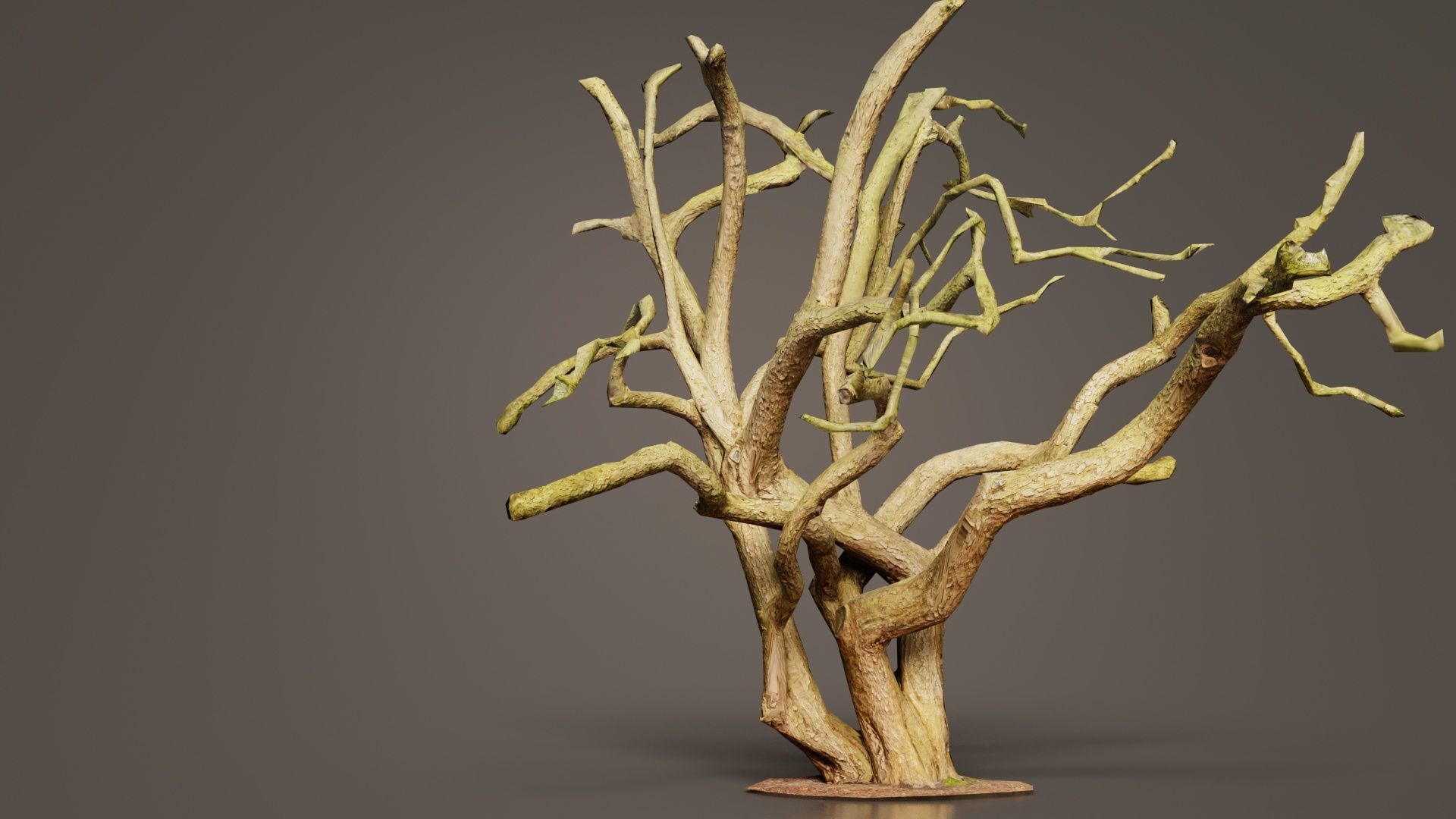 Big Tree Trunk Low-poly 3D model_8