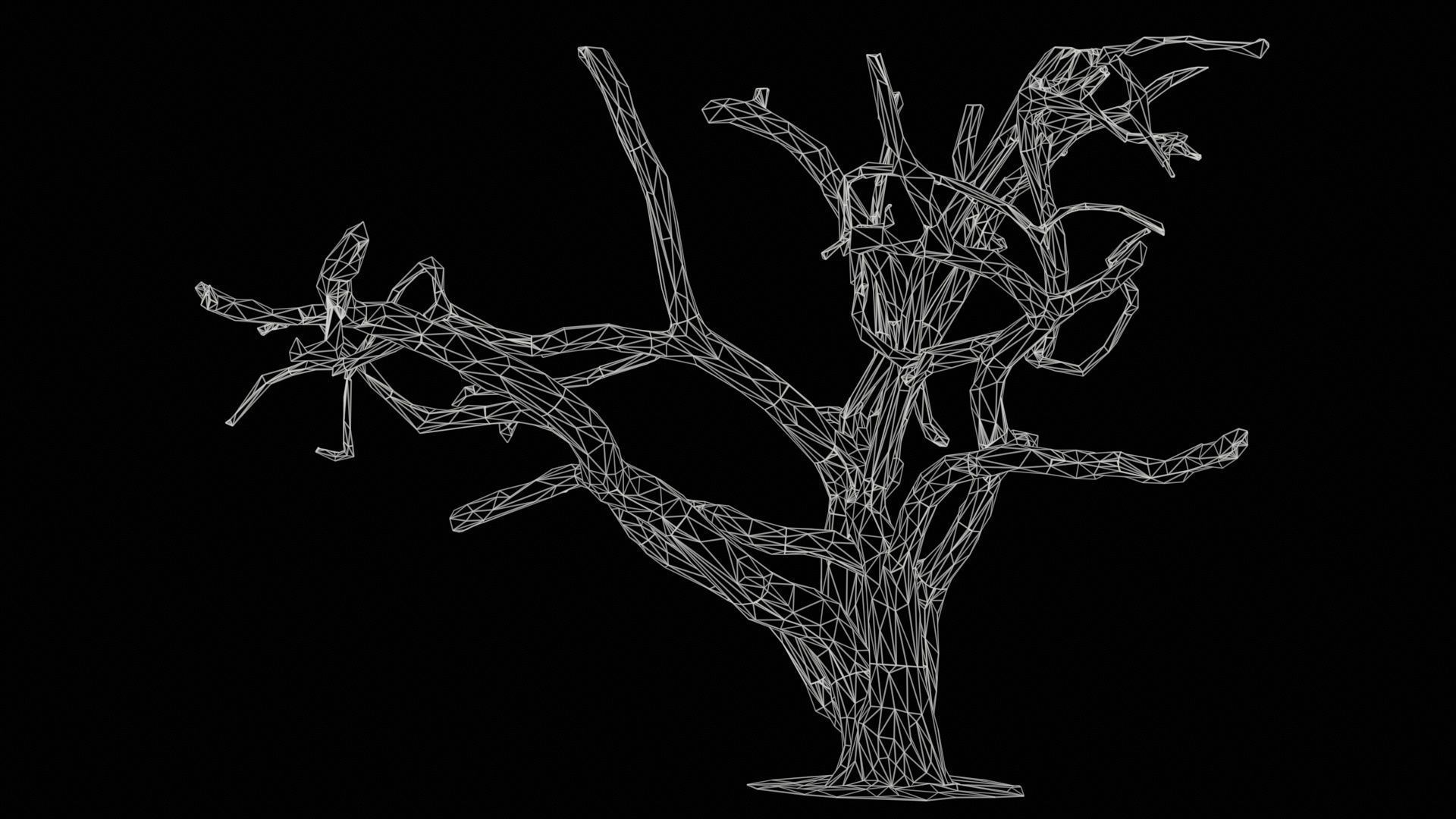 Big Tree Trunk Low-poly 3D model_11