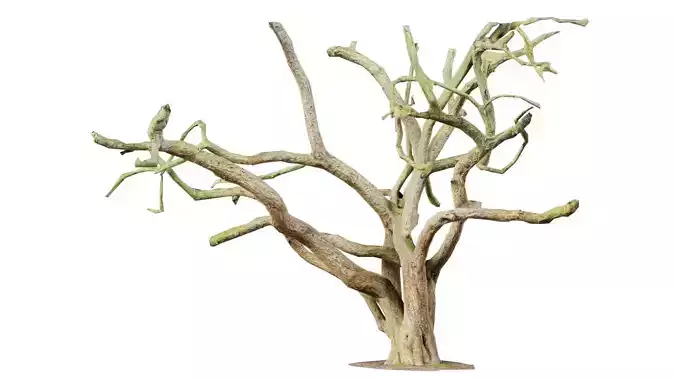 Big Tree Trunk Low-poly 3D model
