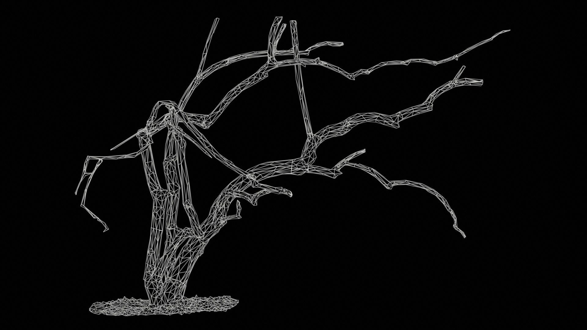 Cherry Tree Trunk Low-poly 3D model_11