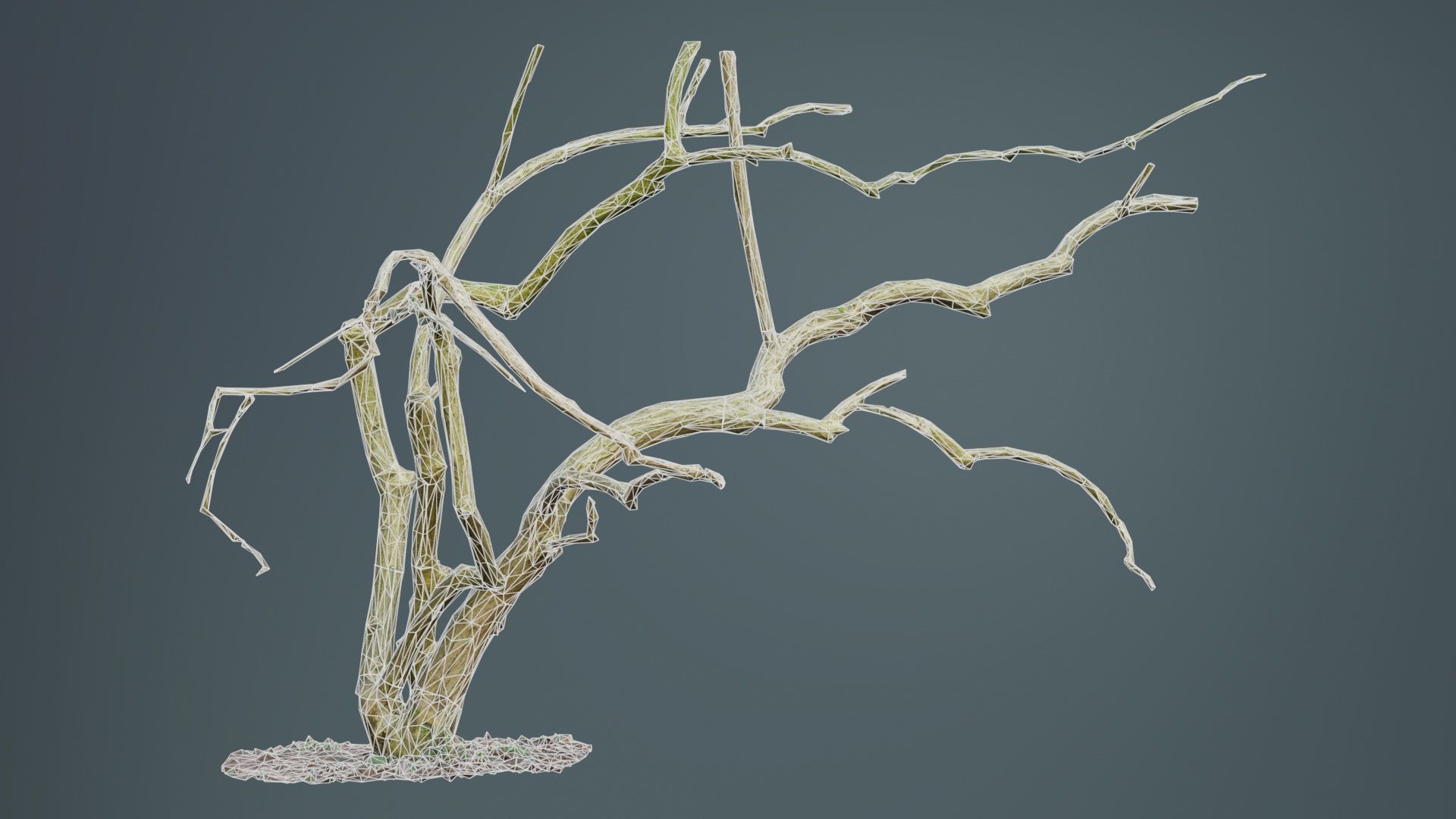 Cherry Tree Trunk Low-poly 3D model_9