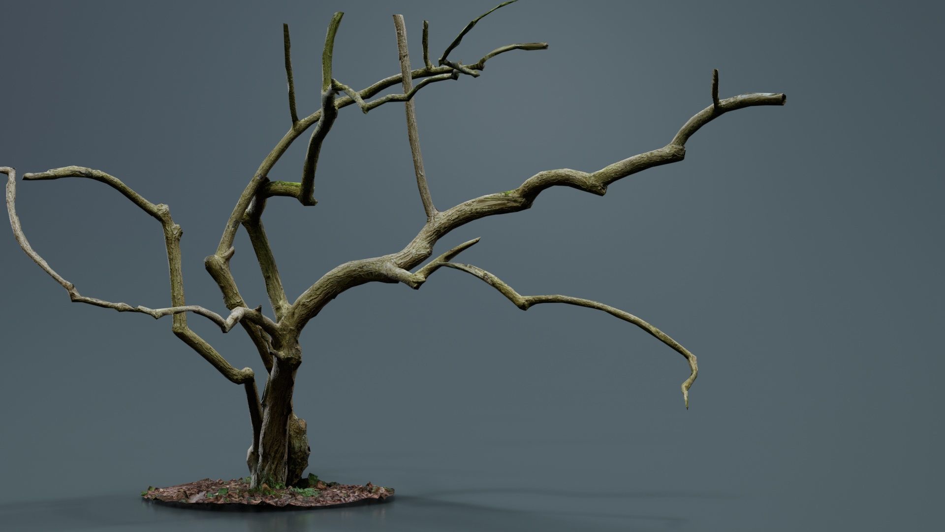 Cherry Tree Trunk Low-poly 3D model_1