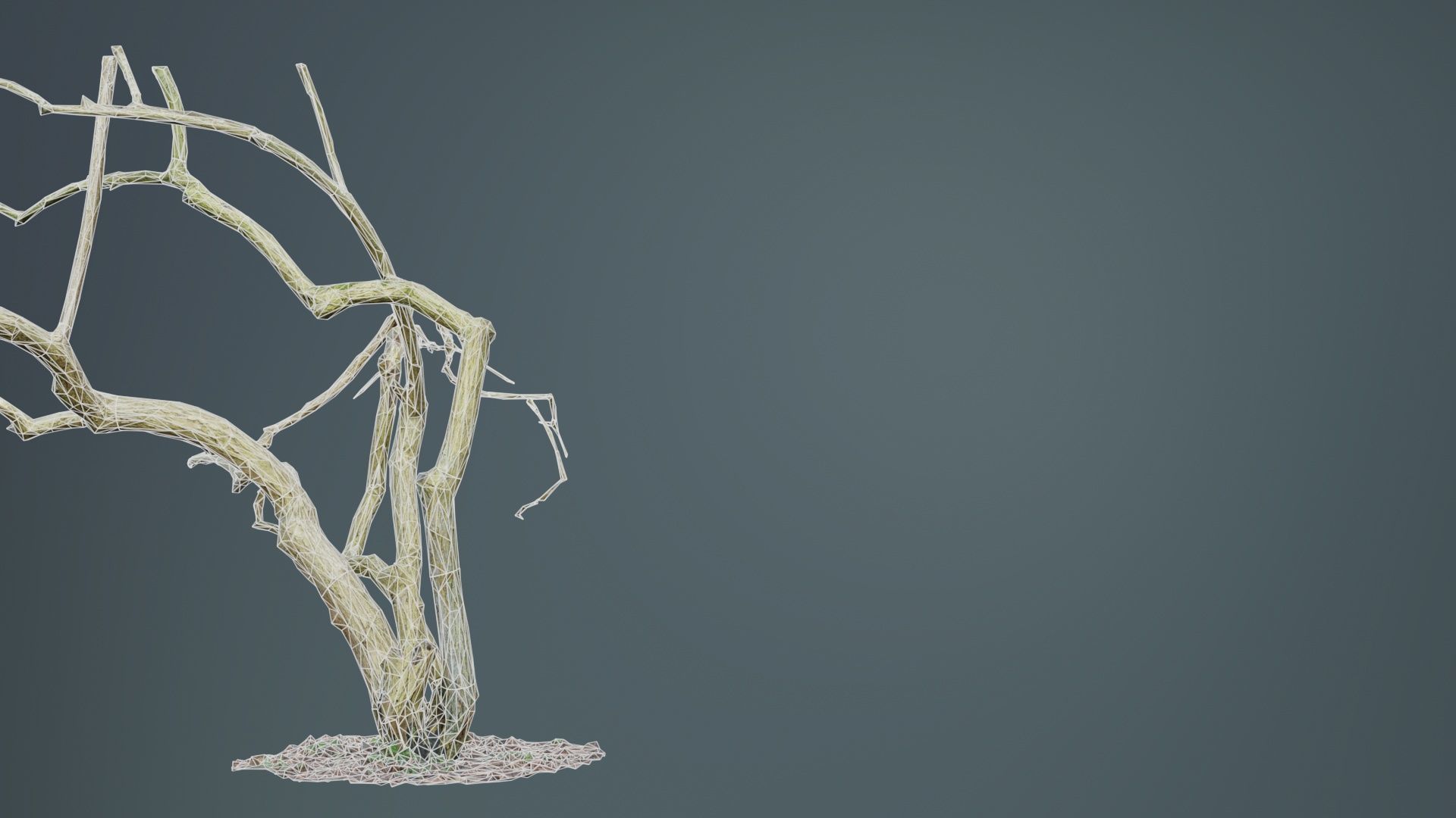 Cherry Tree Trunk Low-poly 3D model_10