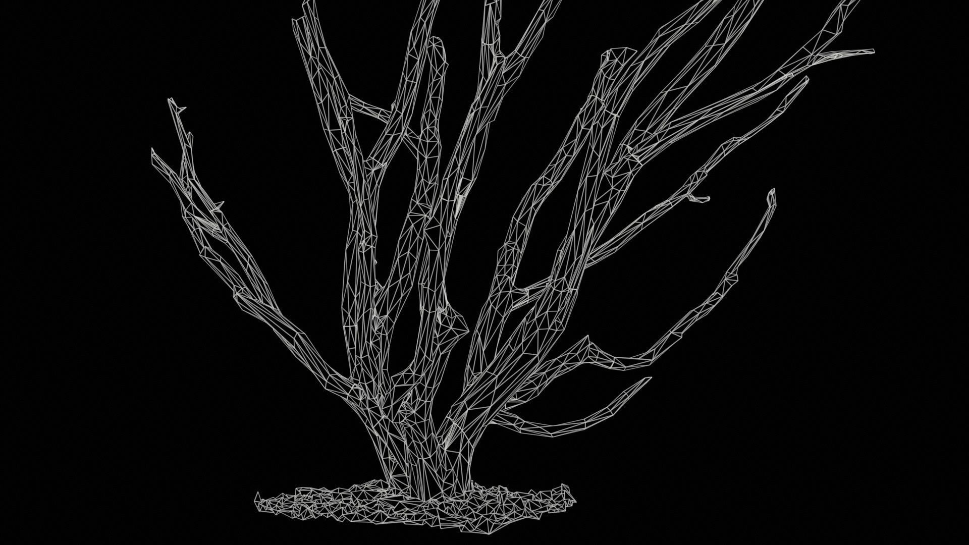 Curly Multy Trunk Tree Low-poly 3D model_11