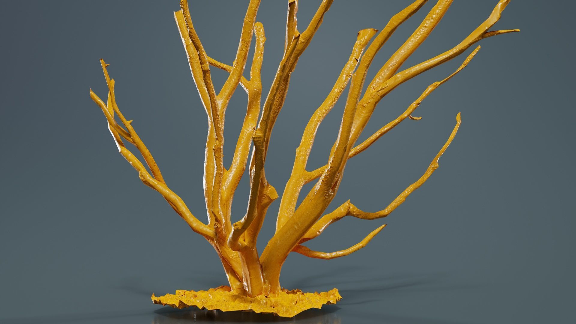 Curly Multy Trunk Tree Low-poly 3D model_12