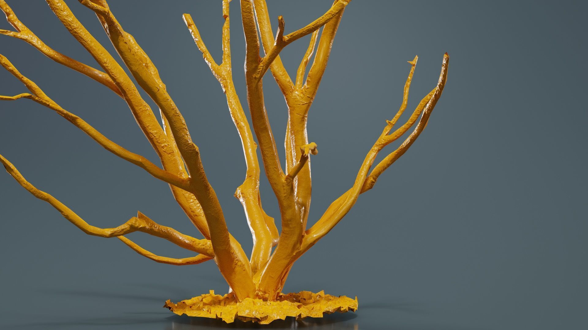 Curly Multy Trunk Tree Low-poly 3D model_13