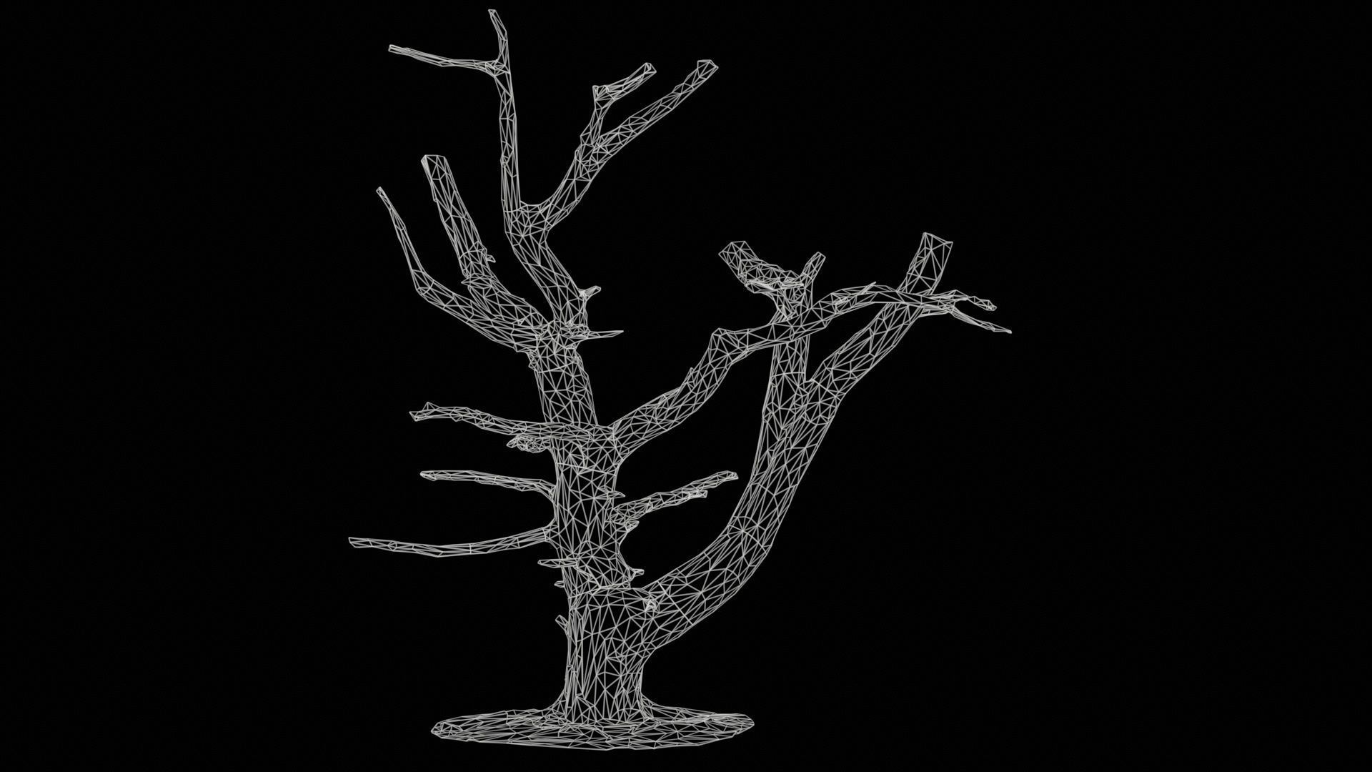 Dancing Tree Trunk Low-poly 3D model_11