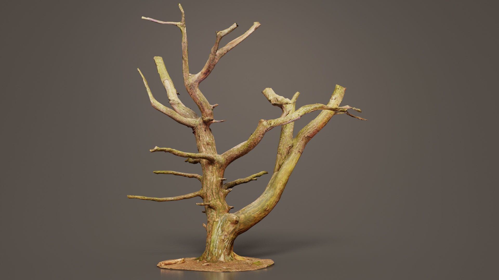 Dancing Tree Trunk Low-poly 3D model_7