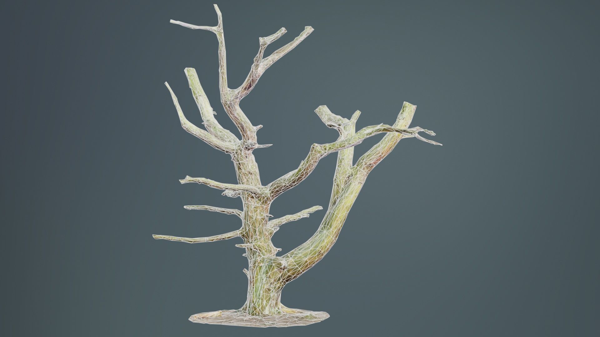 Dancing Tree Trunk Low-poly 3D model_9