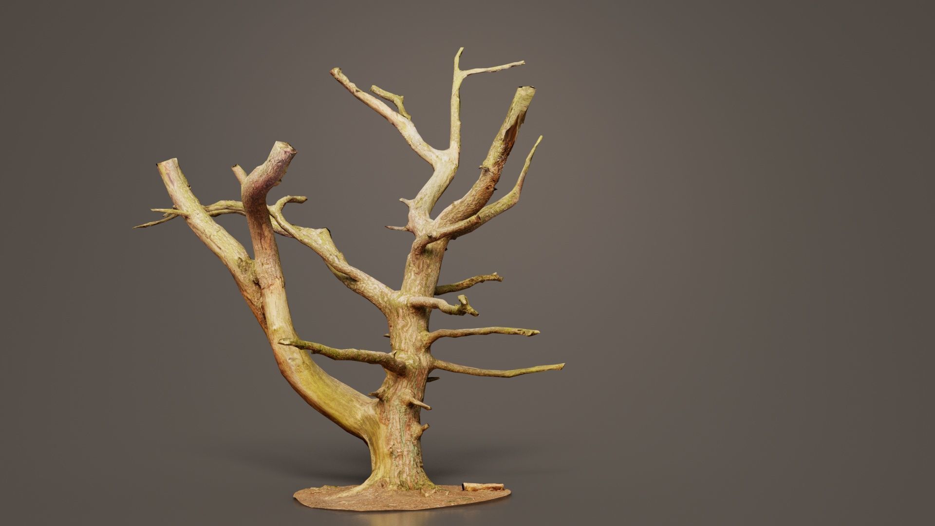 Dancing Tree Trunk Low-poly 3D model_2