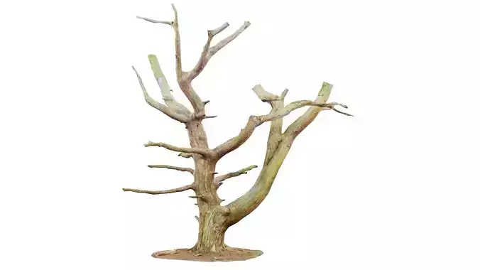Dancing Tree Trunk Low-poly 3D model