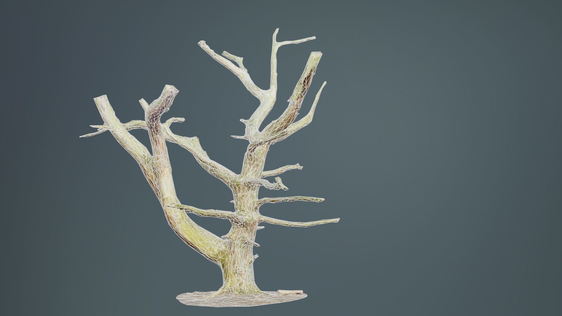 Dancing Tree Trunk Low-poly 3D model_10
