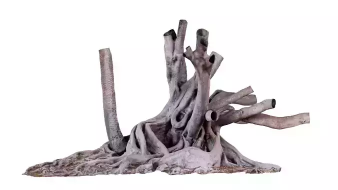 Fig Tree Trunk Low-poly 3D model