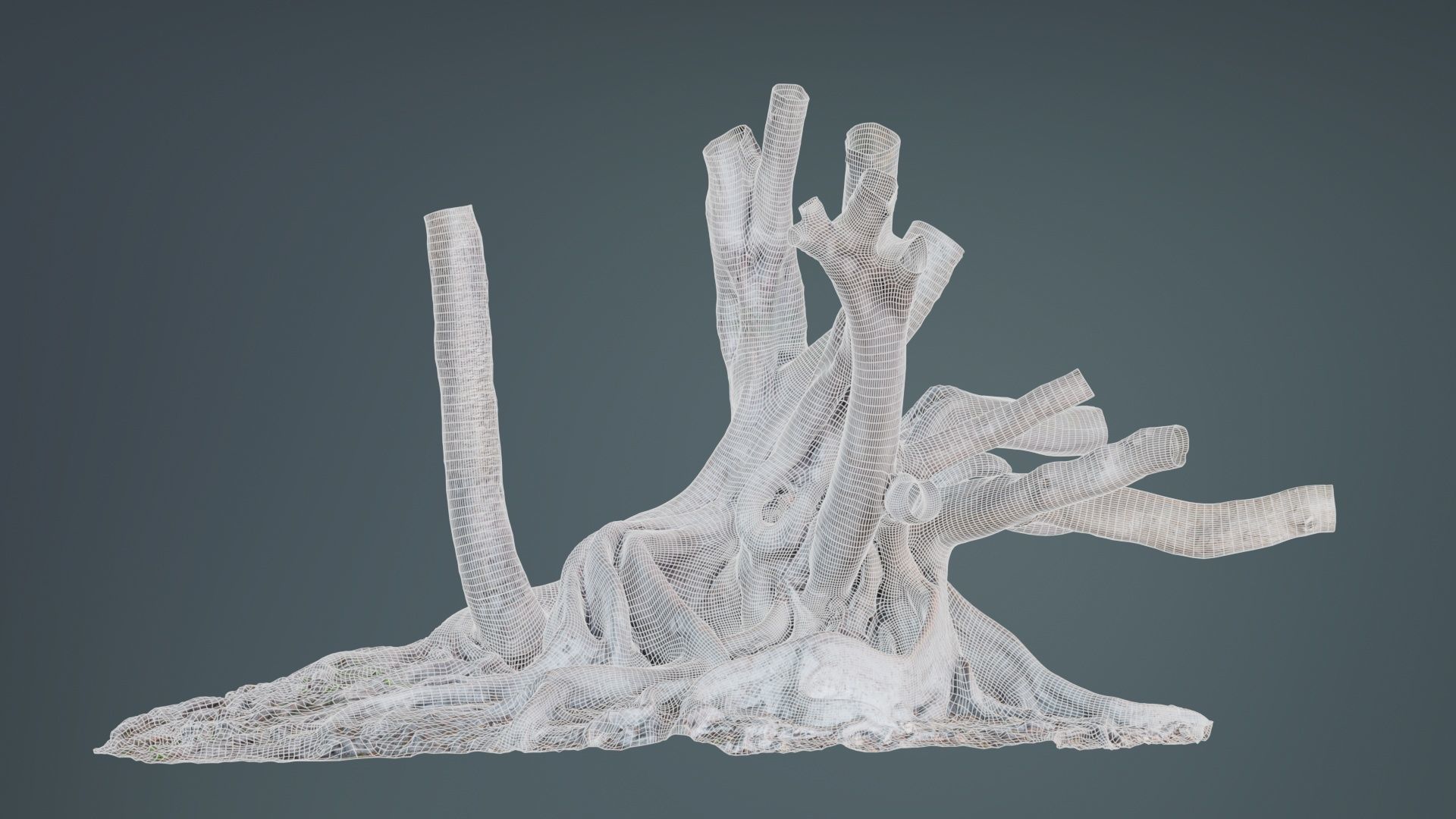 Fig Tree Trunk Low-poly 3D model_9