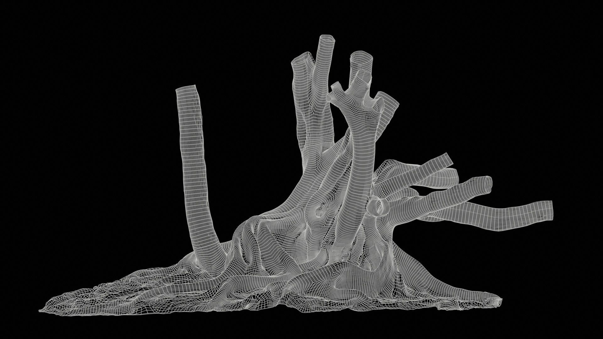 Fig Tree Trunk Low-poly 3D model_11