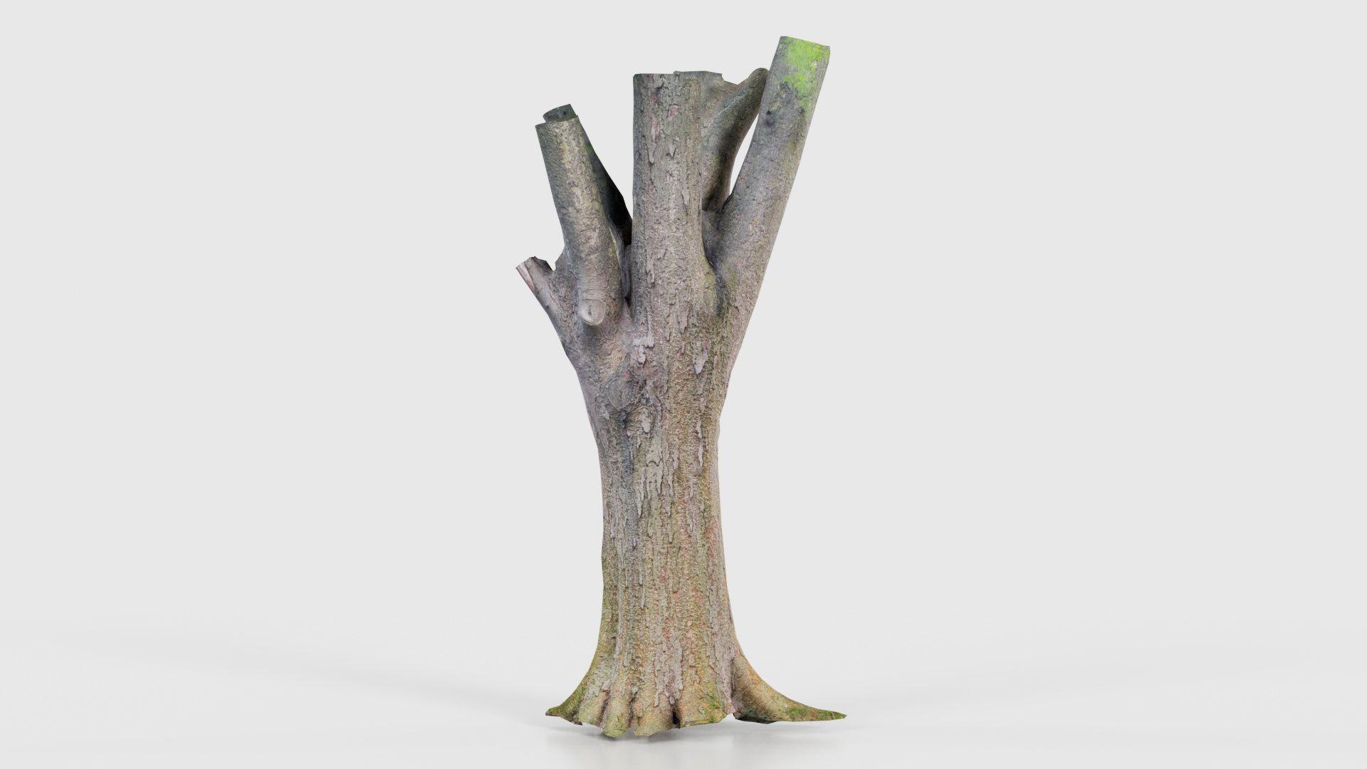 Fragmented Bark Tree Trunk Low-poly 3D model_18