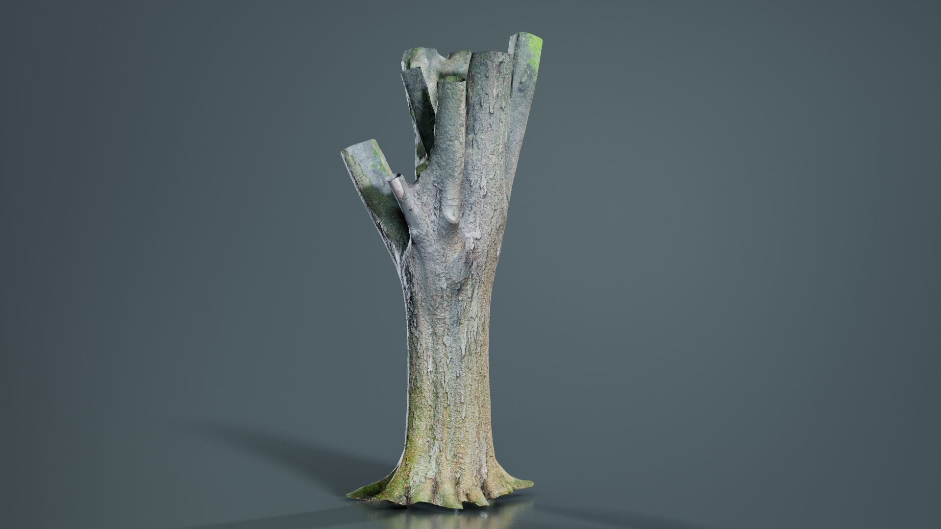 Fragmented Bark Tree Trunk Low-poly 3D model_1