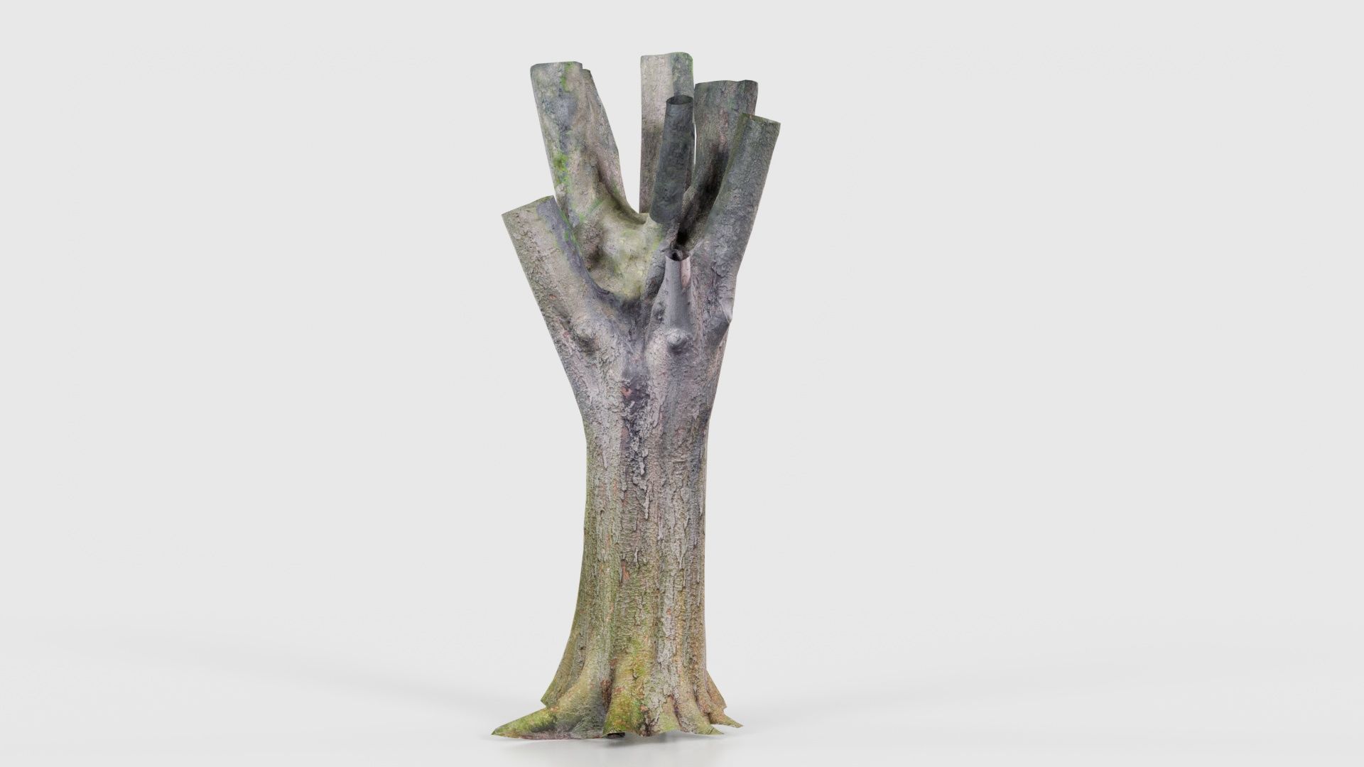 Fragmented Bark Tree Trunk Low-poly 3D model_21