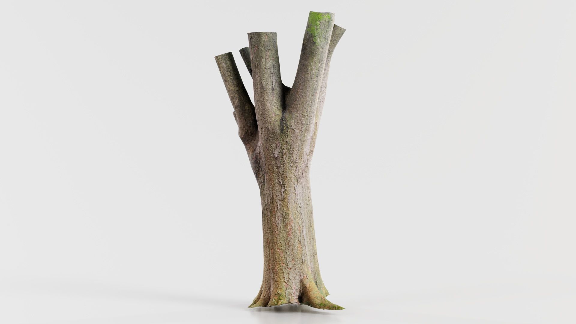 Fragmented Bark Tree Trunk Low-poly 3D model_2