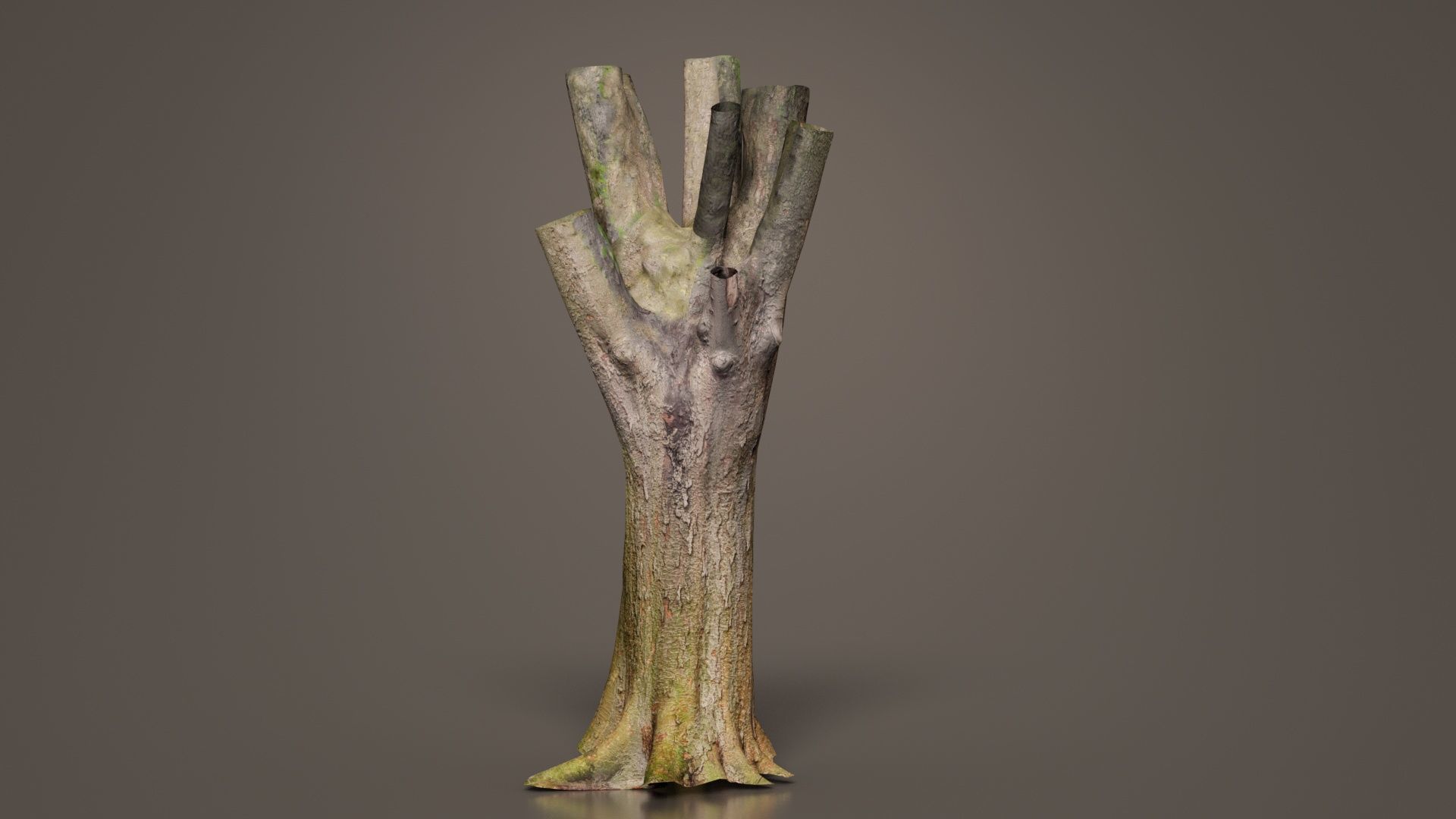 Fragmented Bark Tree Trunk Low-poly 3D model_8