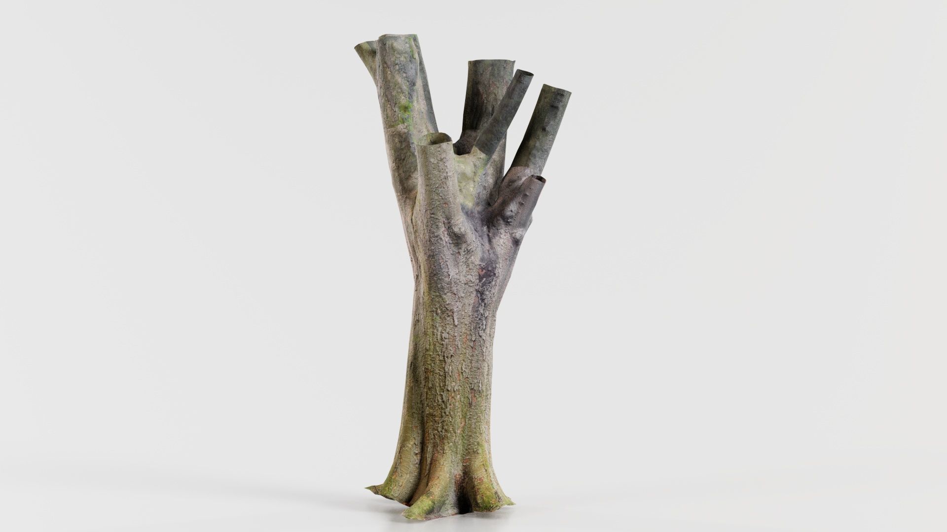 Fragmented Bark Tree Trunk Low-poly 3D model_5
