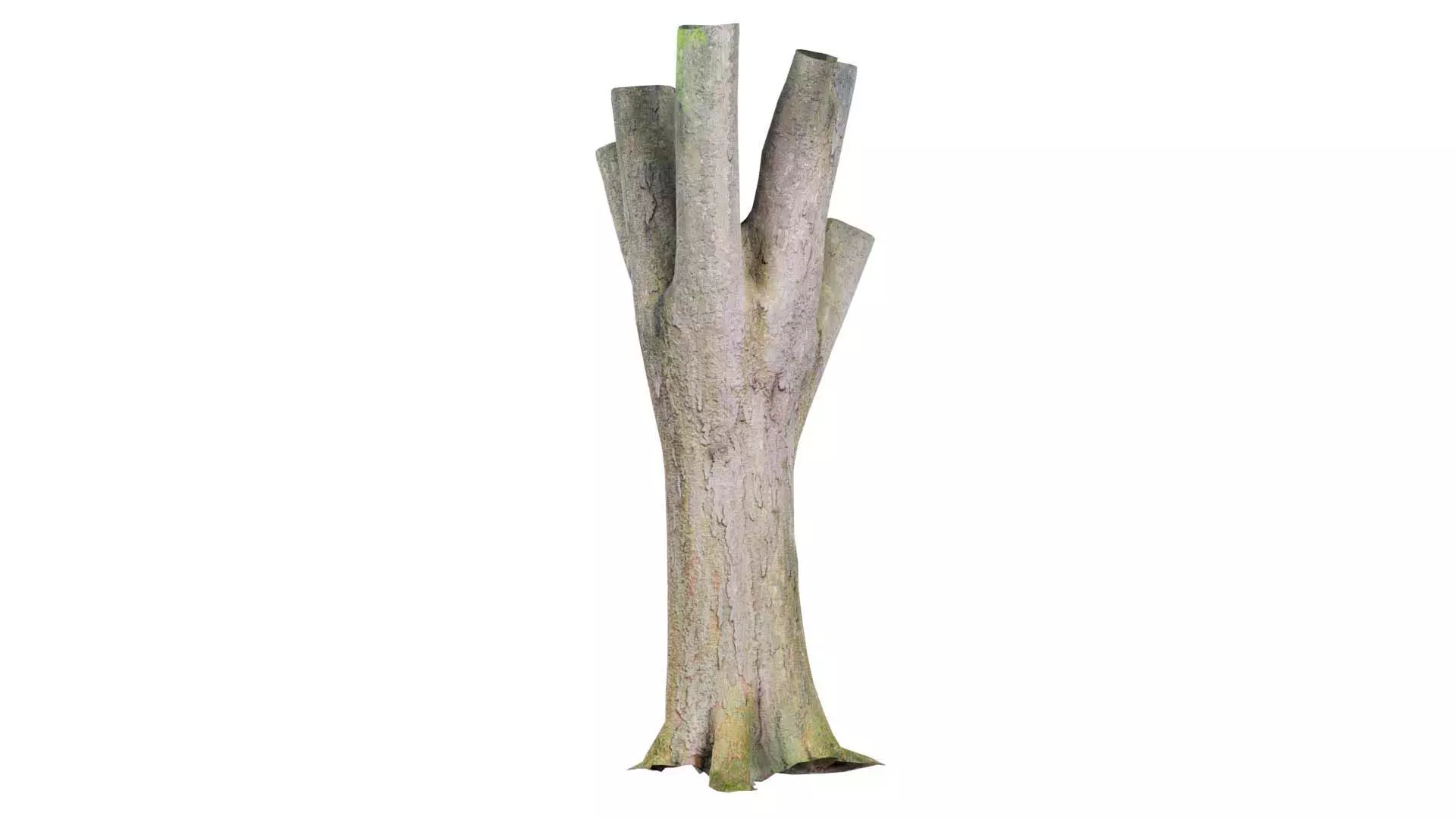 Fragmented Bark Tree Trunk Low-poly 3D model_0