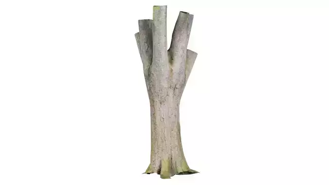 Fragmented Bark Tree Trunk Low-poly 3D model
