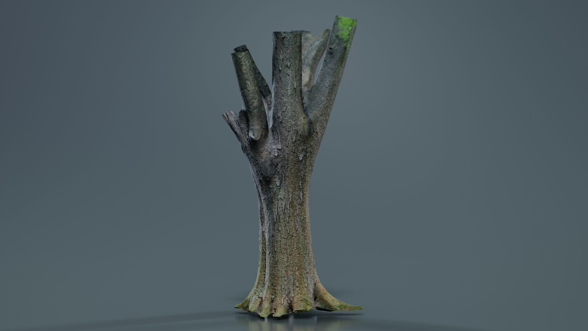 Fragmented Bark Tree Trunk Low-poly 3D model_4