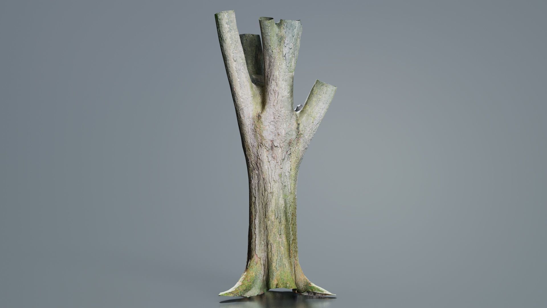 Fragmented Bark Tree Trunk Low-poly 3D model_6