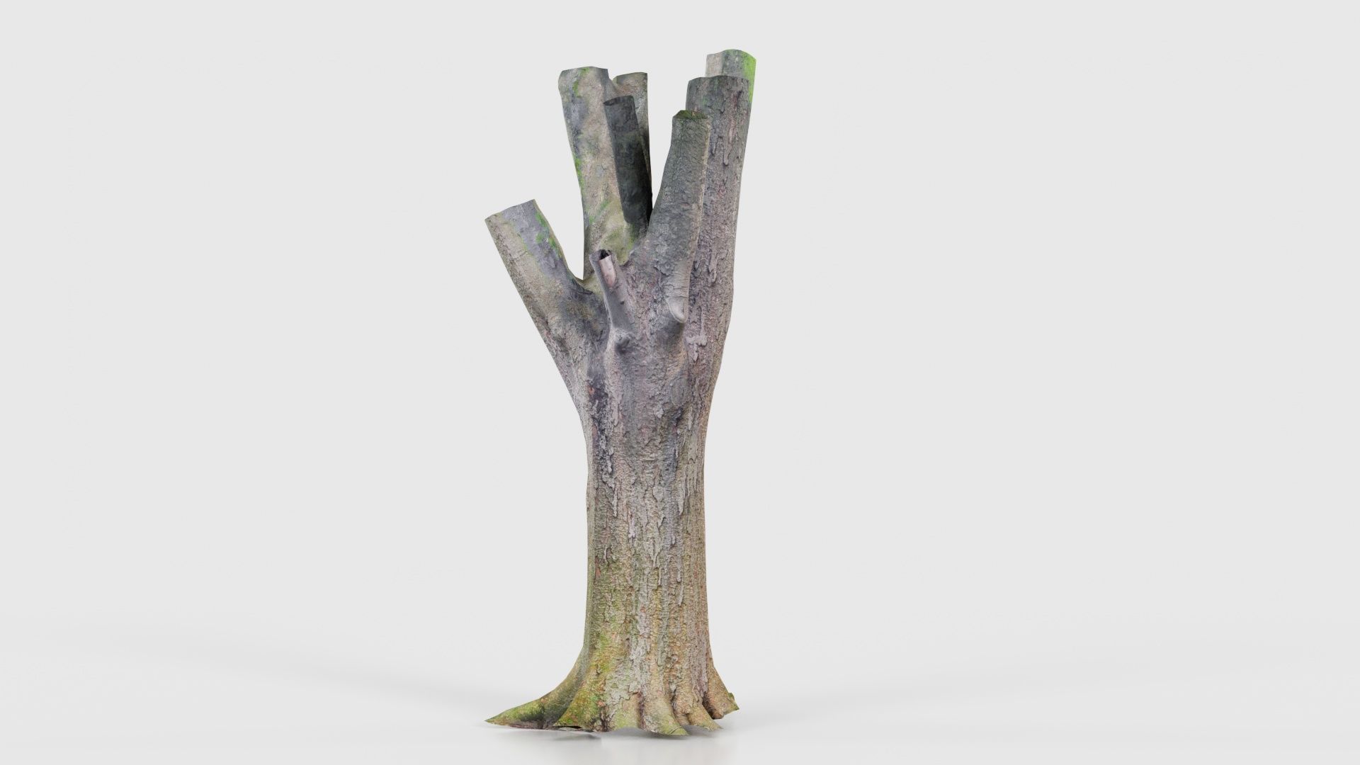 Fragmented Bark Tree Trunk Low-poly 3D model_20