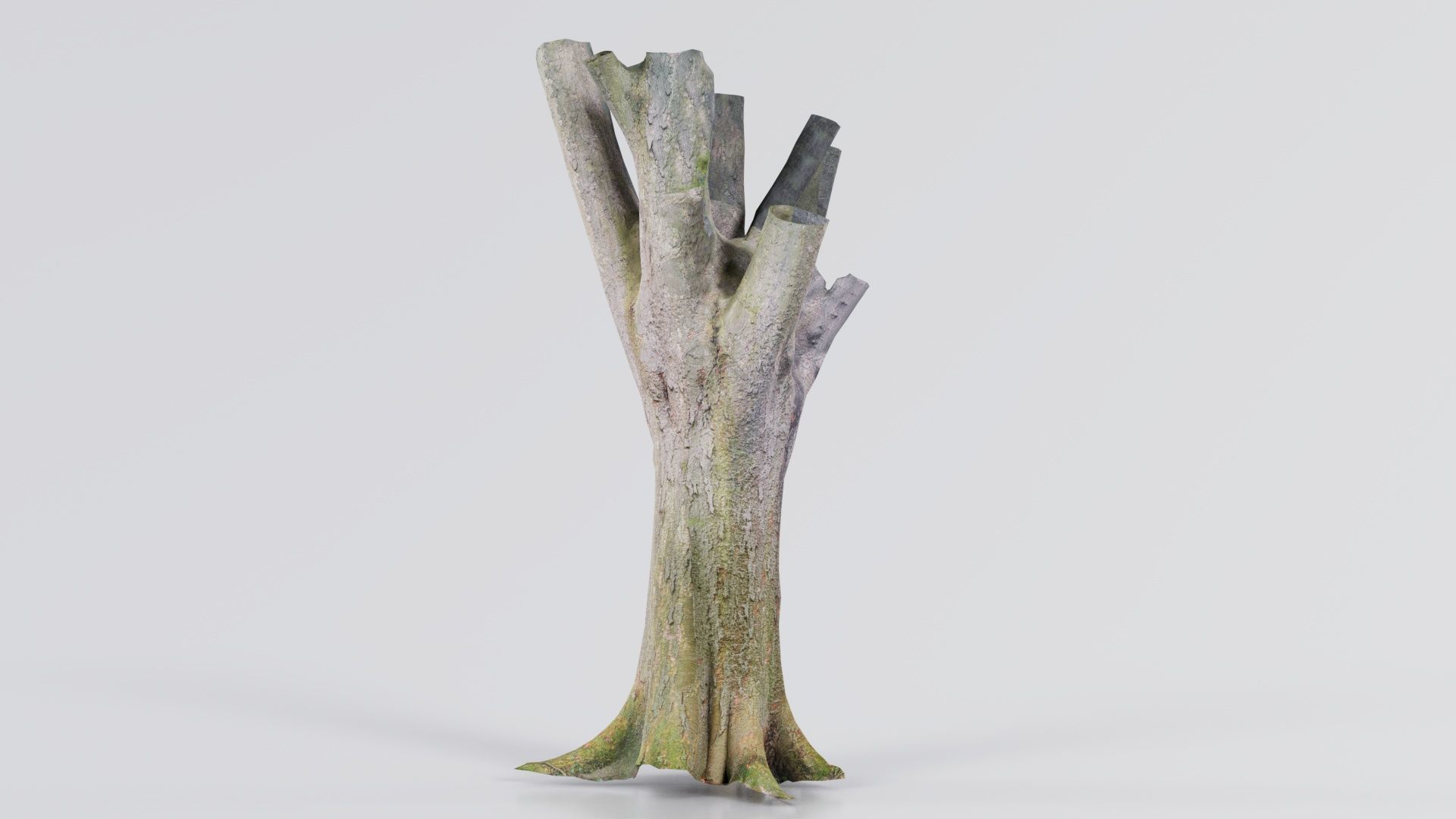 Fragmented Bark Tree Trunk Low-poly 3D model_7