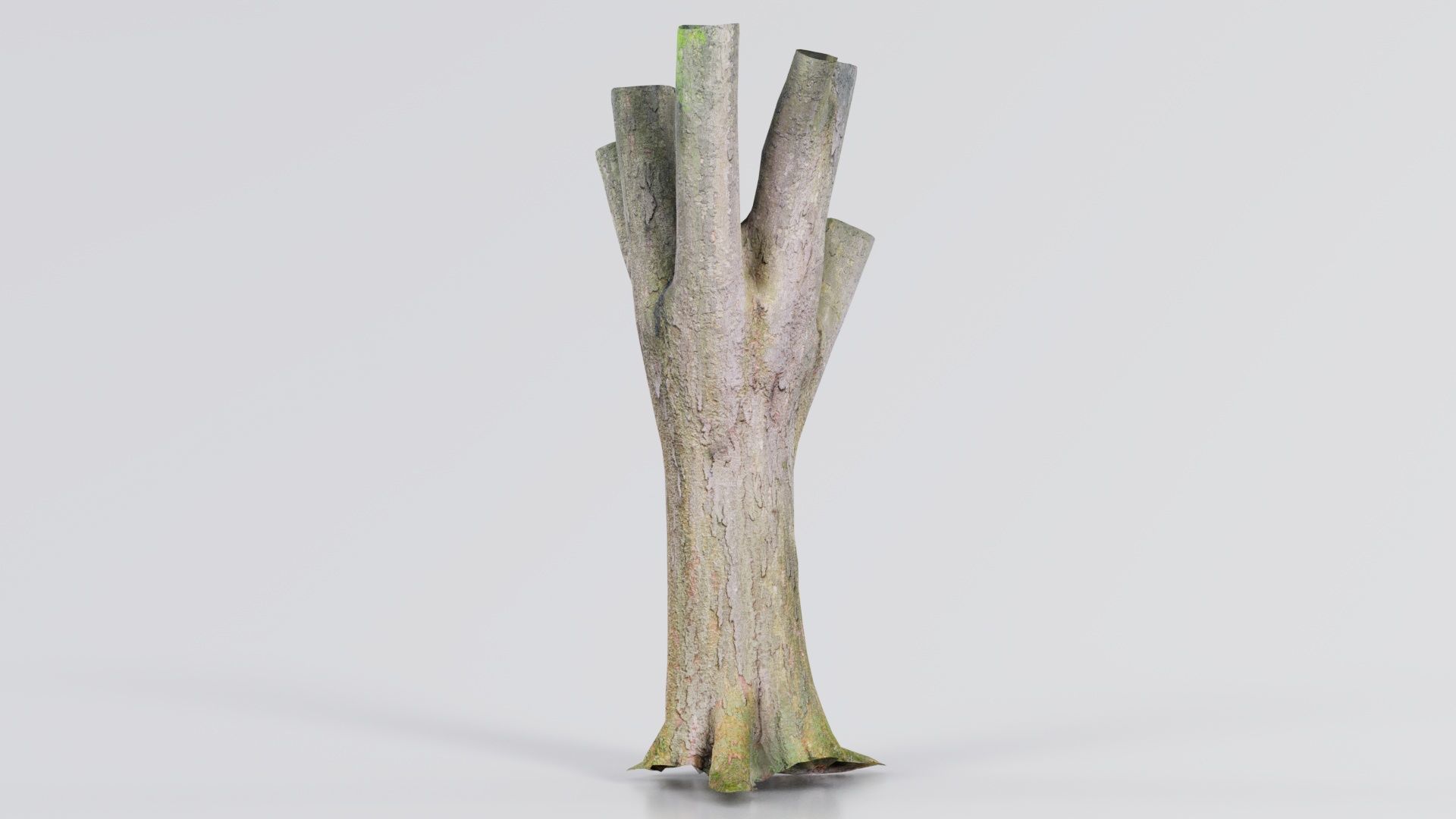 Fragmented Bark Tree Trunk Low-poly 3D model_3